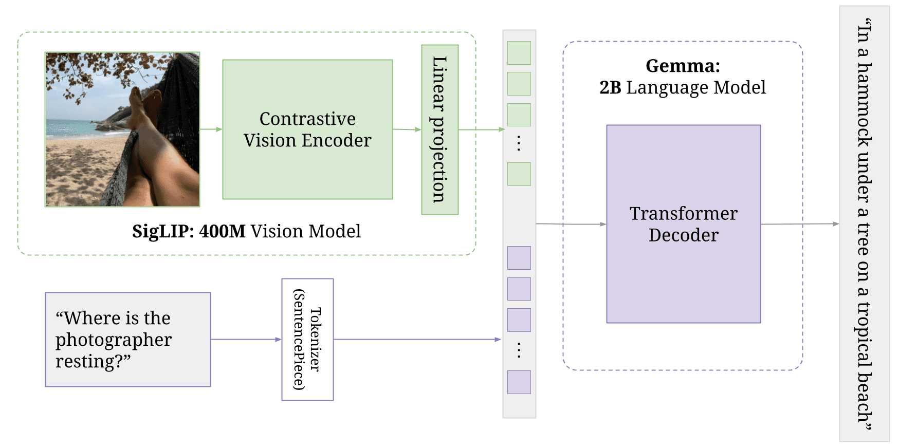 An image of the Multimodal Vision-Language (PaliGemma) project.