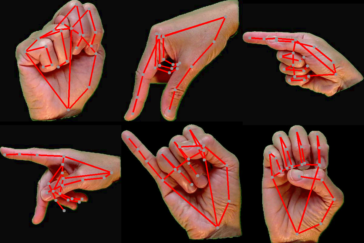 An image of the Sign Language Detection project.